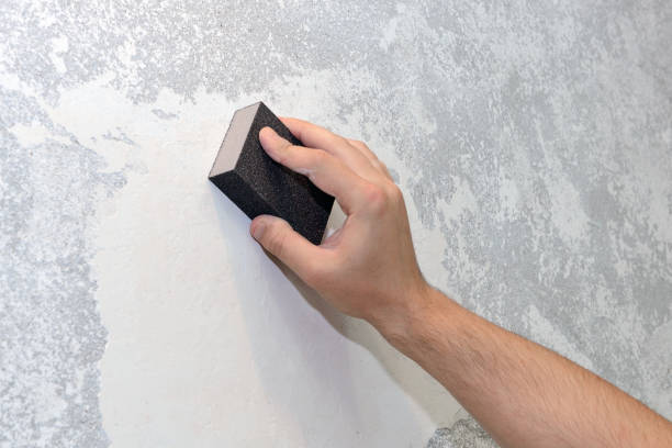 Best Real Estate Mold Inspection  in Lewisville, WA