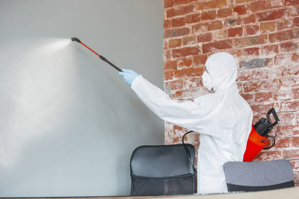 Reliable Lewisville, WA Mold Removal Solutions