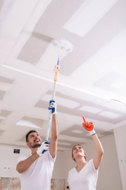Best Mold Removal for HVAC Installations  in Lewisville, WA