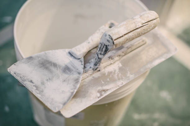 Best Mold Prevention Services  in Lewisville, WA